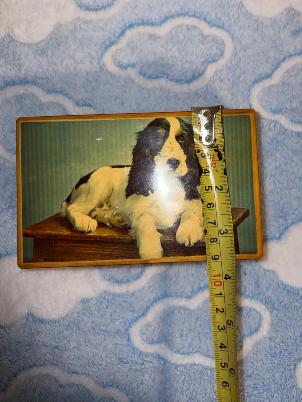 Vintage Tallent of Old Bond Street  musical jewellery box With Spaniel Dog
